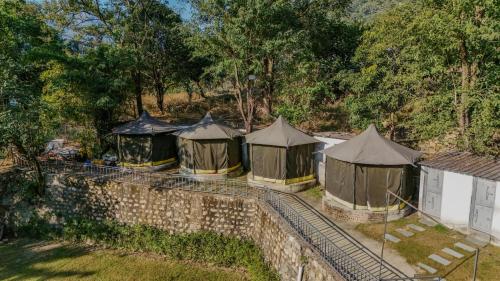 jungle walker resort