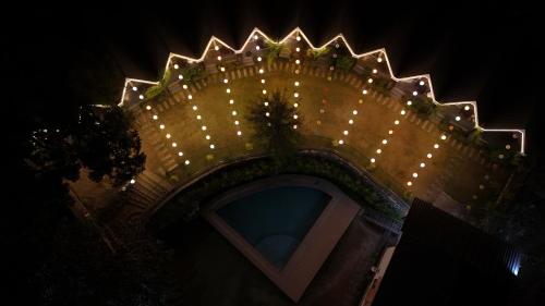 jungle walker resort