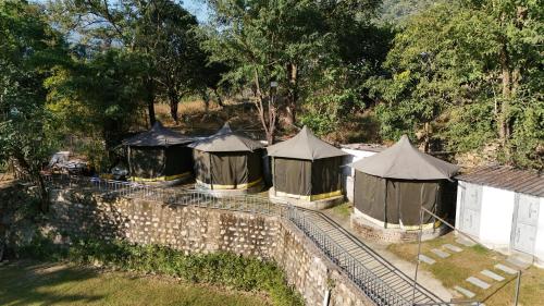 jungle walker resort