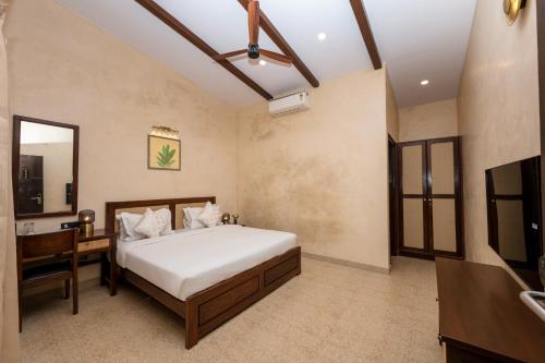 yellowstone resort arambol