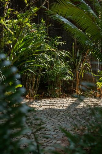 greenpark resort and spa madikeri