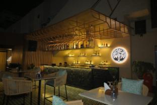 lush premier hotel