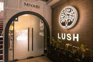 lush premier hotel