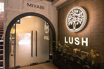 lush premier hotel