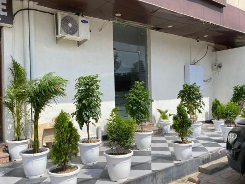 hotel silky palace by a2a hotels and resorts