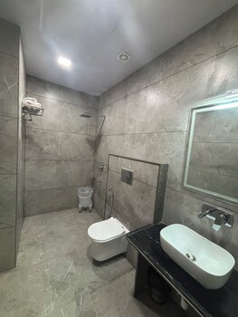 hotel shree rajasthan inn