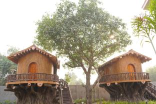 jyoti resort joypur