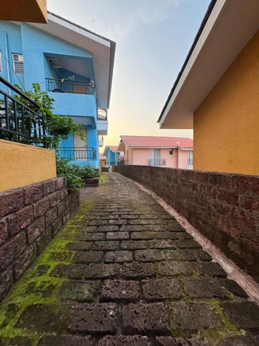 cozy 1bhk apartment casa asud