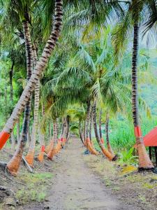 ambika hills resort
