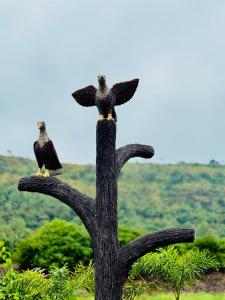 ambika hills resort