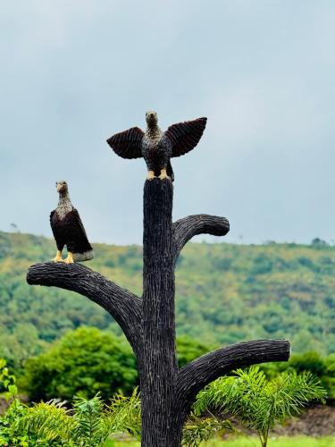 ambika hills resort