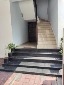 ossos apartment