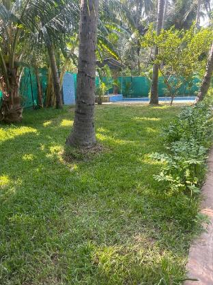 dejo serenity resort