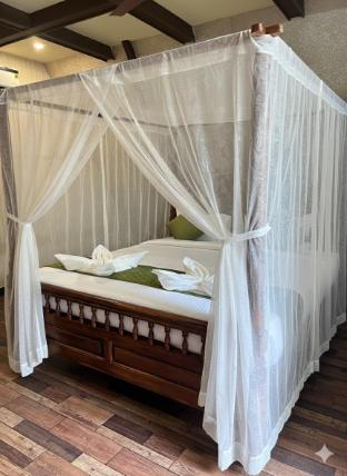 dejo serenity resort