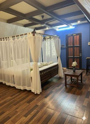 dejo serenity resort