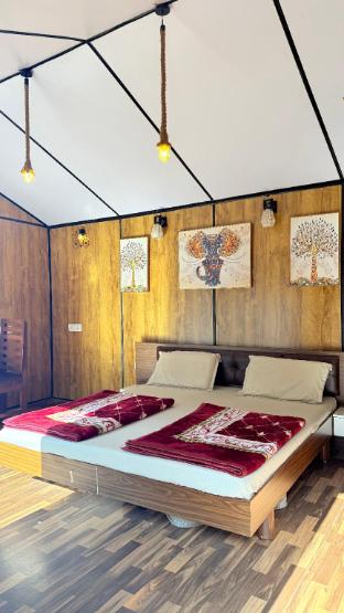 polo lion resort polo forest