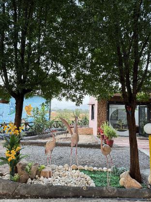 polo lion resort polo forest