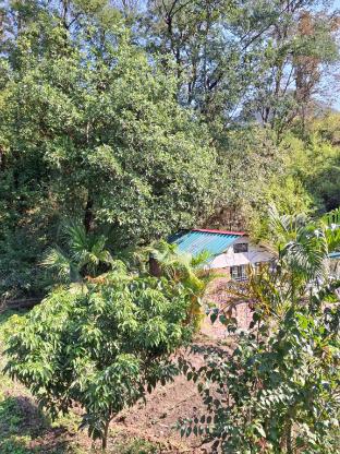 junegiri farms and homestay