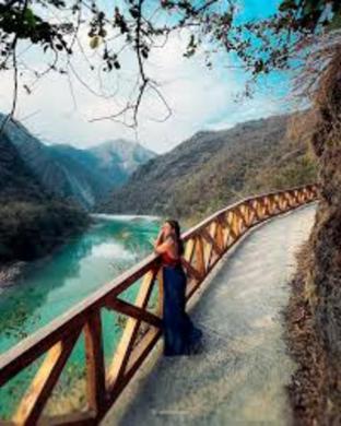 junegiri farms and homestay