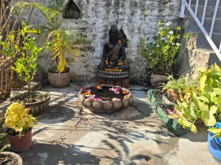 junegiri farms and homestay