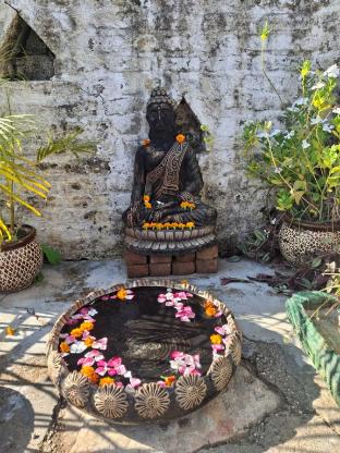 junegiri farms and homestay