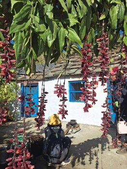 junegiri farms and homestay