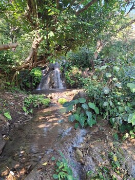 junegiri farms and homestay