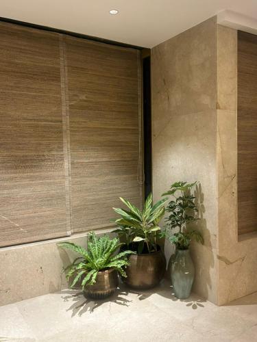 fernwood hotels and resorts