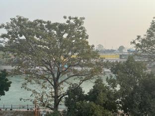 hotel suraj by t and m hotels