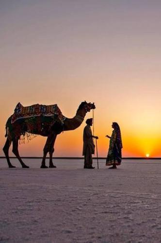white desert homestay