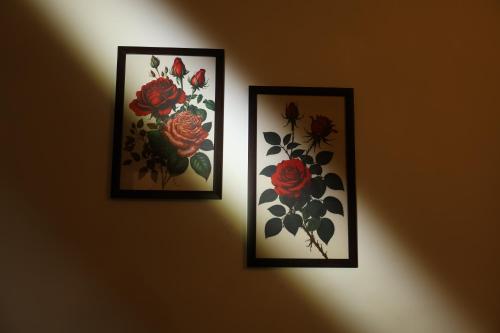 surya niwas boutique hotel and garden