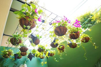 Marigold House,,3 star