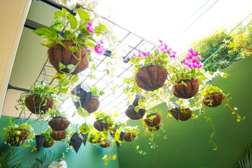 marigold house