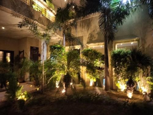 marigold house