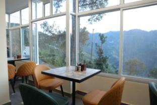 the amore hills