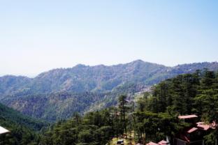 hotel himalayan roots