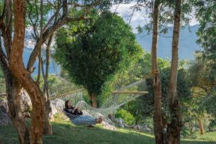 the wild forest masinagudi