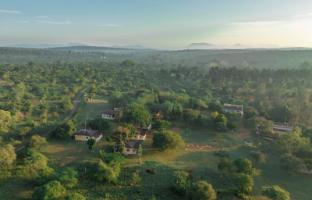 the wild forest masinagudi