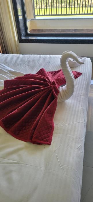 vijay villas resort pushkar