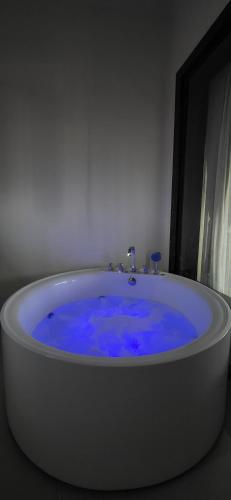 vijay villas resort pushkar