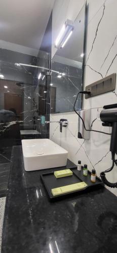 vijay villas resort pushkar
