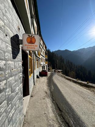 pumpkin hostel shoja