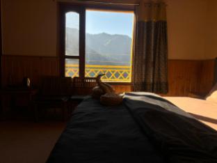 pumpkin hostel shoja