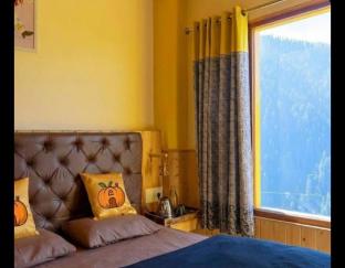 pumpkin hostel shoja