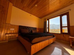 pumpkin hostel shoja