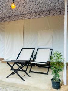 pushkar dhani camps and resort