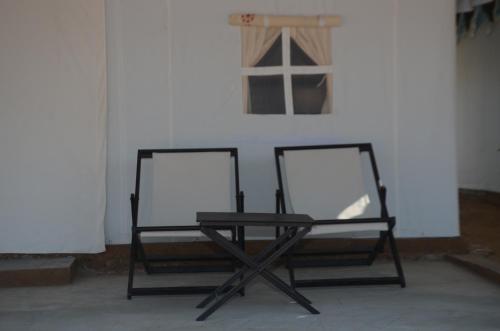pushkar dhani camps and resort