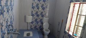 anand nivas homestay ac