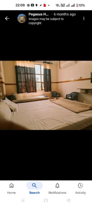 pegasus home