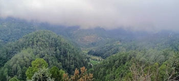sanskriti homestay and cottage